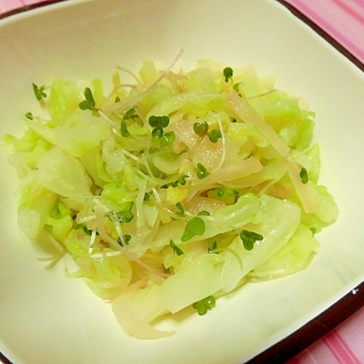 キャベツと甘酢生姜の酢の物 レシピ 作り方 By こす なな 楽天レシピ キャベツと甘酢生姜の酢の物 レシピ 作り方 By こす なな 楽天レシピ